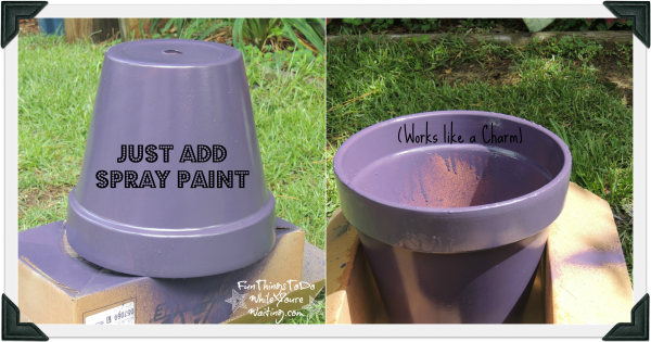 Purple Pot