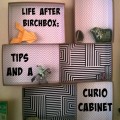 birchbox tips and a curio cabinet
