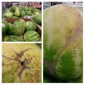 How To Pick A Ripe Watermelon by The Butterfly Bonsai & Margo Kitchen