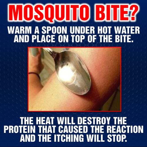 A Remedy for Mosquito Bites