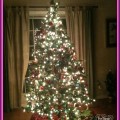 Christmas Tree 2011