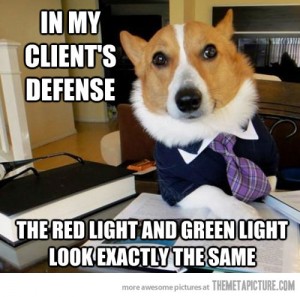 funny-lawyer-dog-red-light