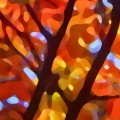Abstract Fall Tree Light by Amy Vansgard