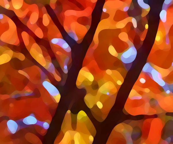 Abstract Fall Tree Light by Amy Vansgard