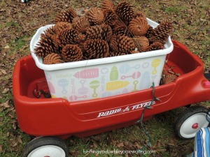 pine cone wagon