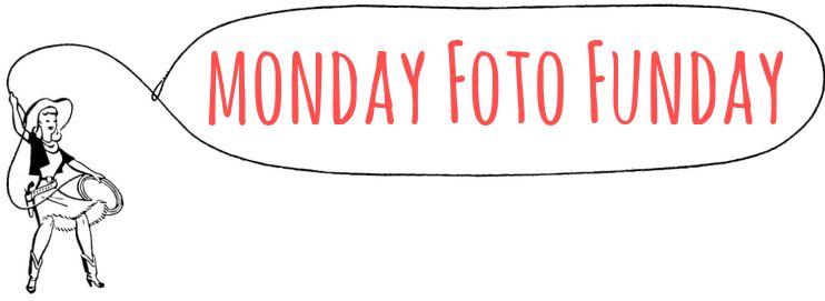 Monday Foto Friday Graphic