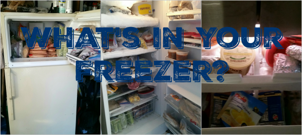 What's in your Freezer