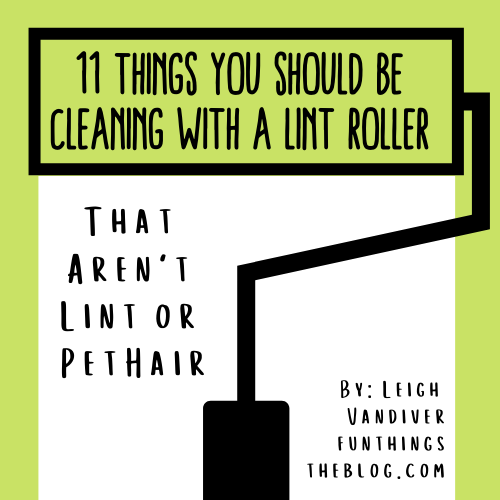 13 Things You Can Clean With A Lint Roller